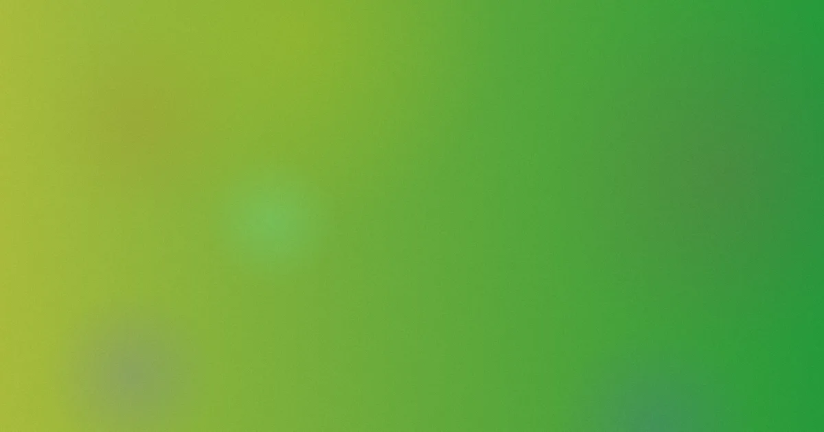 许诺推荐：新手这样练